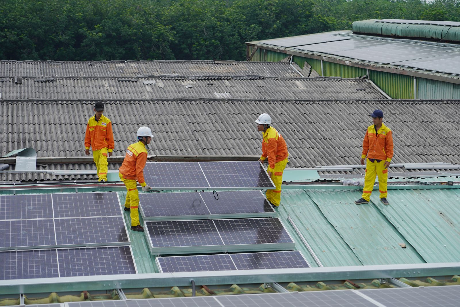 SunHarvest installation crew at work