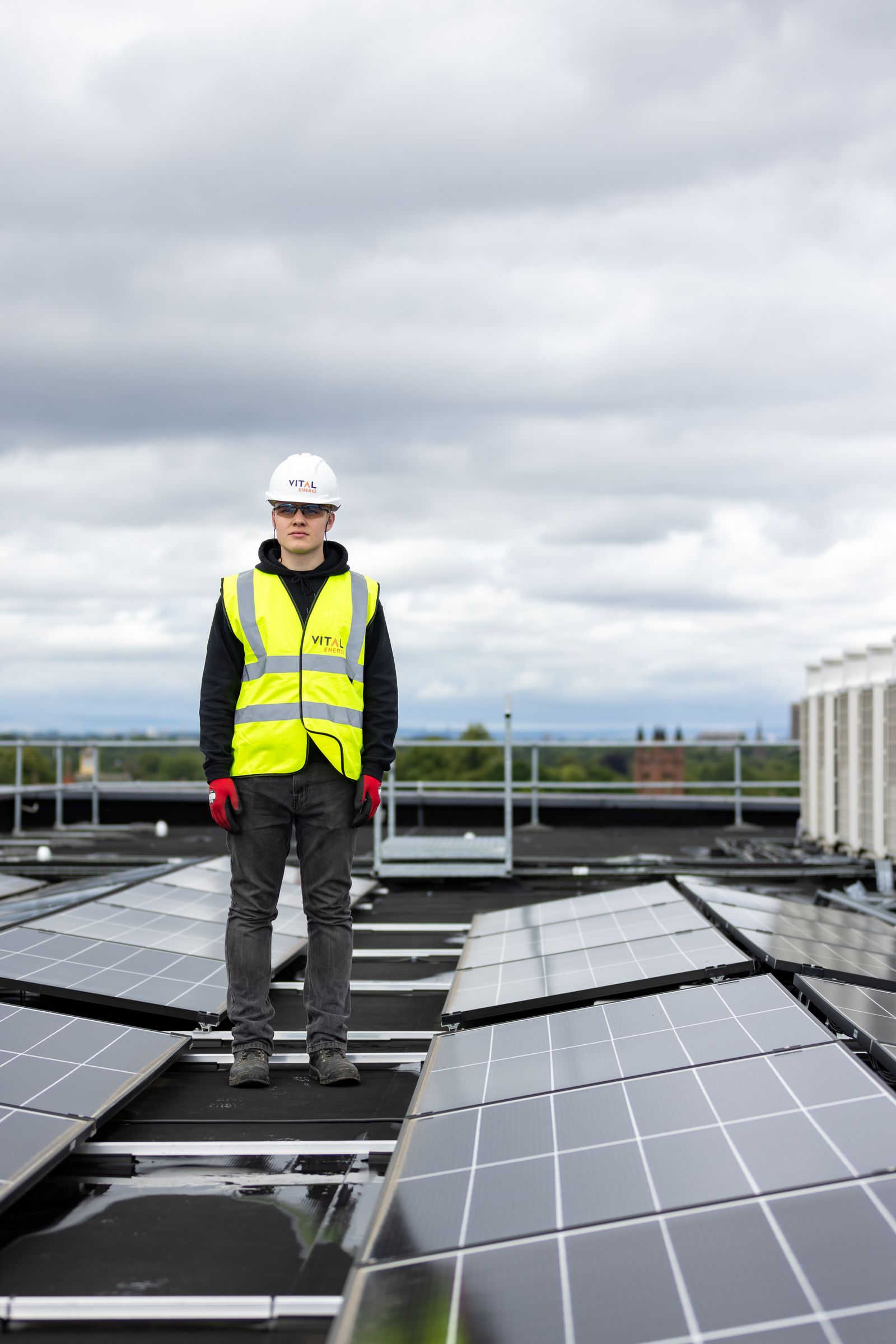 Morning light on a commercial solar installation